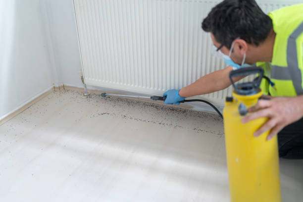 Best Pest Inspection Near Me  in Los Gatos, CA